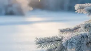 Miłego Dnia Zimowe Pozdrowienia milego dnia zimowe pozdrowienia